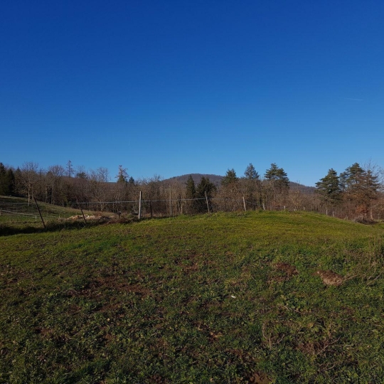 Annonces CHARTREUSE : Terrain | SAINT-GEOIRE-EN-VALDAINE (38620) | m2 | 66 000 € 