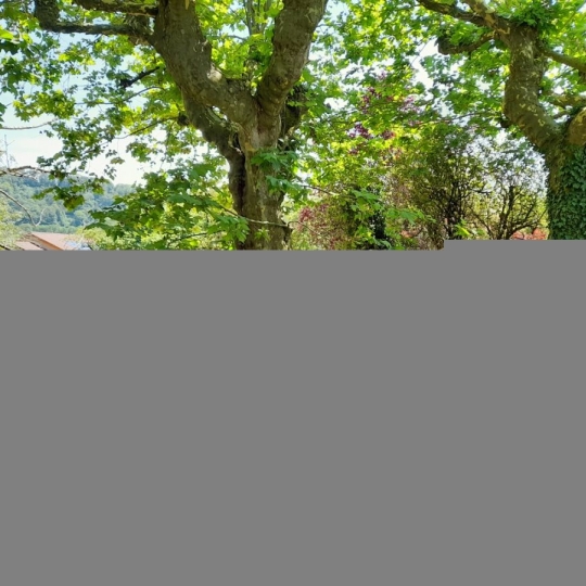  SARL PICOT IMMOBILIER -  : Maison / Villa | VELANNE (38620) | 190 m2 | 262 000 € 