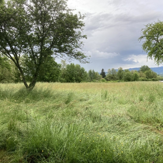   SARL PICOT IMMOBILIER -  : Maison / Villa | SAINT-JEAN-D'AVELANNE (38480) | 152 m2 | 239 000 € 