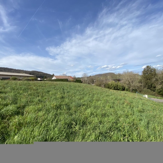   SARL PICOT IMMOBILIER -  : Ground | SAINT-GEOIRE-EN-VALDAINE (38620) | 0 m2 | 80 000 € 
