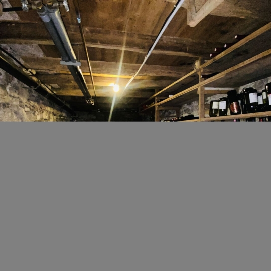   SARL PICOT IMMOBILIER -  : House | SAINT-LAURENT-DU-PONT (38380) | 70 m2 | 159 000 € 