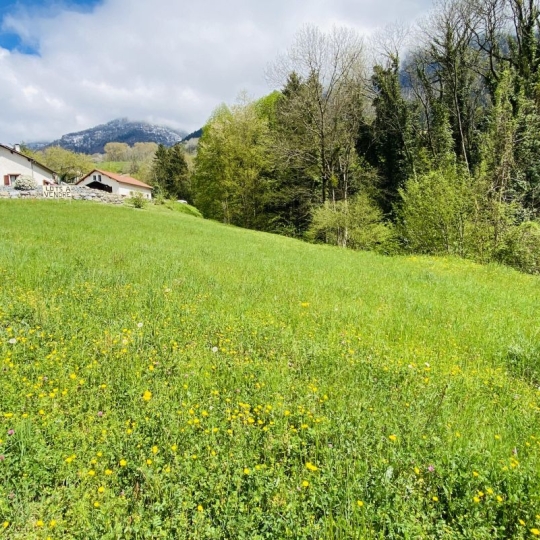   SARL PICOT IMMOBILIER -  : Ground | POMMIERS-LA-PLACETTE (38340) | 0 m2 | 195 000 € 