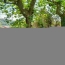   SARL PICOT IMMOBILIER -  : Maison / Villa | VELANNE (38620) | 190 m2 | 262 000 € 