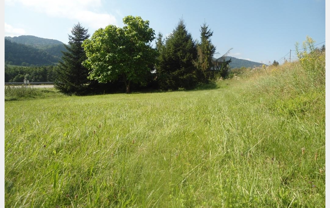  SARL PICOT IMMOBILIER -  : Terrain | SAINT-GEOIRE-EN-VALDAINE (38620) | 0 m2 | 74 000 € 