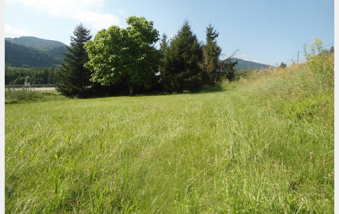 Annonces CHARTREUSE : Terrain | SAINT-GEOIRE-EN-VALDAINE (38620) | 0 m2 | 74 000 € 