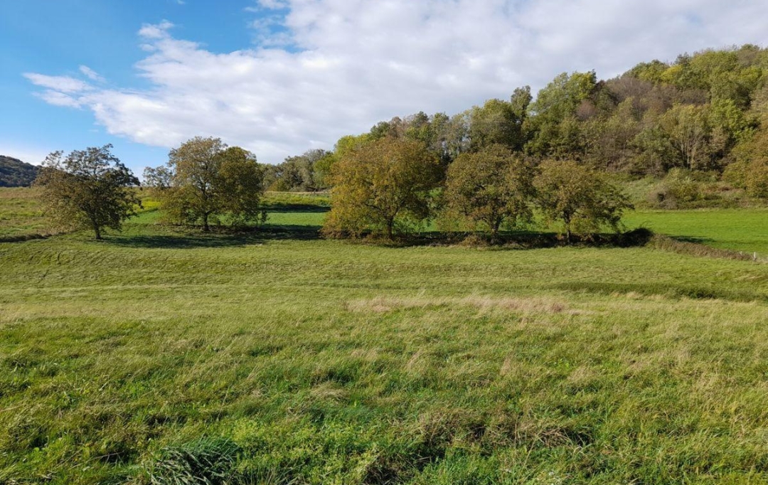 SARL PICOT IMMOBILIER -  : Maison / Villa | SAINT-GEOIRE-EN-VALDAINE (38620) | 120 m2 | 310 000 € 