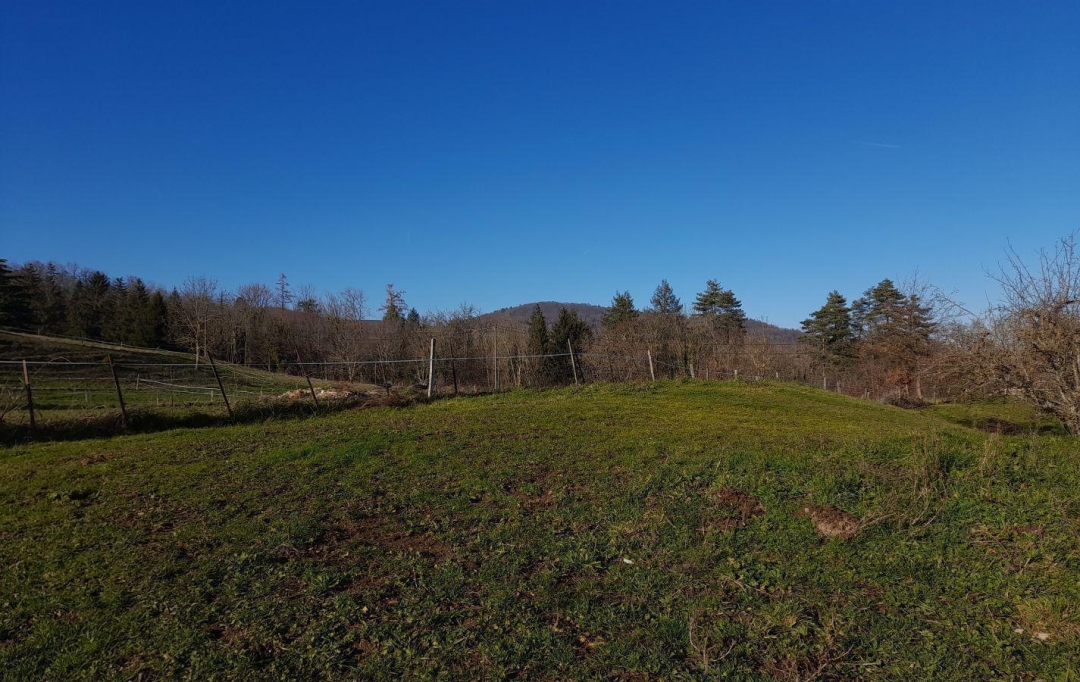  SARL PICOT IMMOBILIER -  : Terrain | SAINT-GEOIRE-EN-VALDAINE (38620) | 0 m2 | 66 000 € 