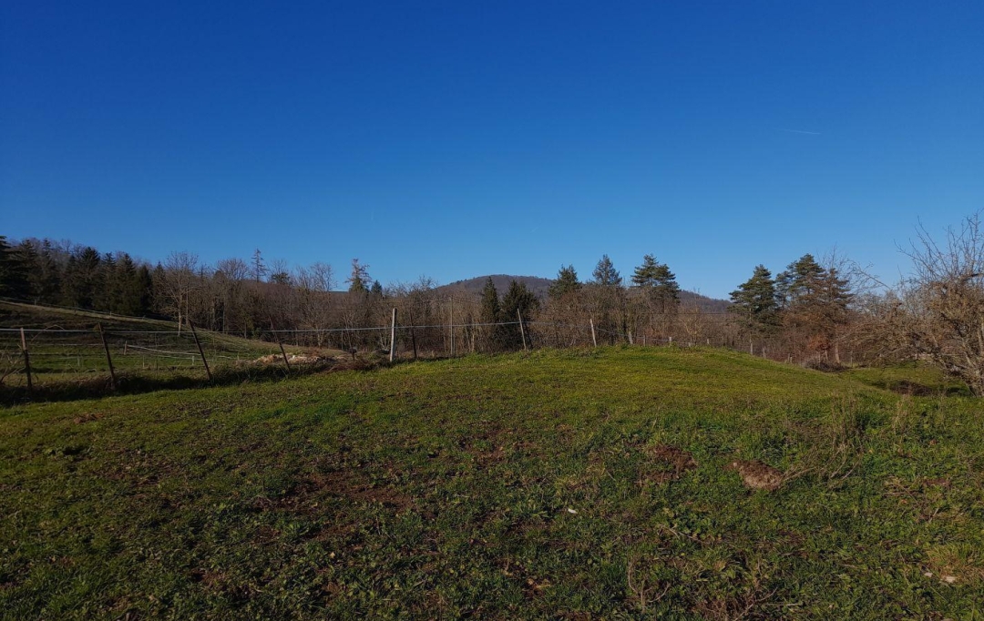 Annonces CHARTREUSE : Terrain | SAINT-GEOIRE-EN-VALDAINE (38620) | 0 m2 | 66 000 € 