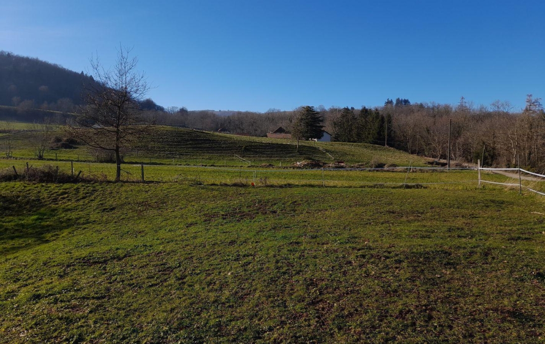  SARL PICOT IMMOBILIER -  : Terrain | SAINT-GEOIRE-EN-VALDAINE (38620) | 0 m2 | 66 000 € 
