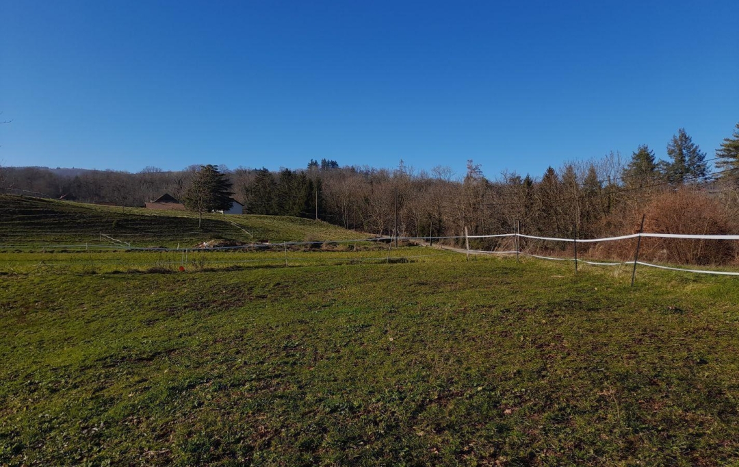  SARL PICOT IMMOBILIER -  : Terrain | SAINT-GEOIRE-EN-VALDAINE (38620) | 0 m2 | 66 000 € 
