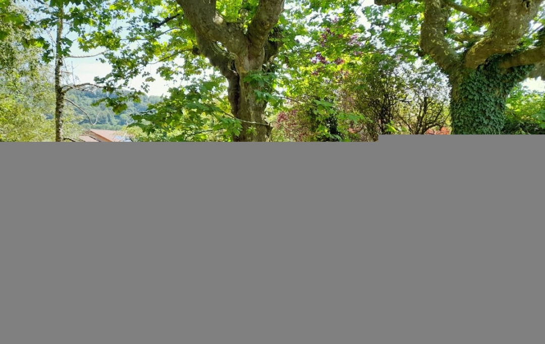  SARL PICOT IMMOBILIER -  : Maison / Villa | VELANNE (38620) | 190 m2 | 262 000 € 