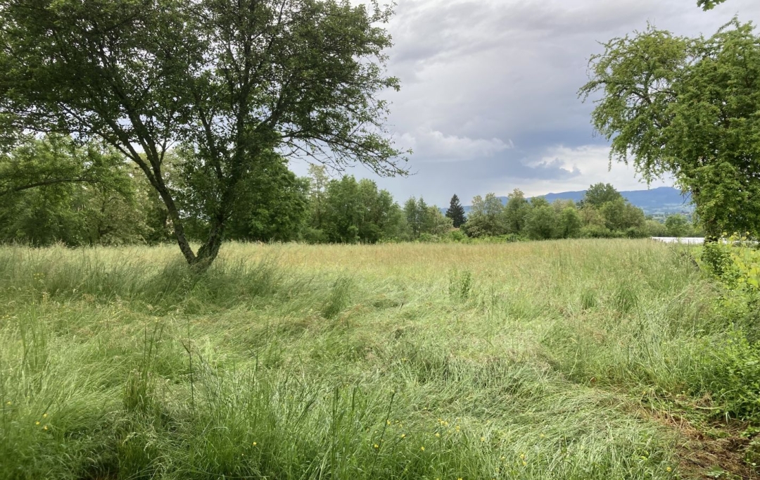  SARL PICOT IMMOBILIER -  : Maison / Villa | SAINT-JEAN-D'AVELANNE (38480) | 152 m2 | 239 000 € 