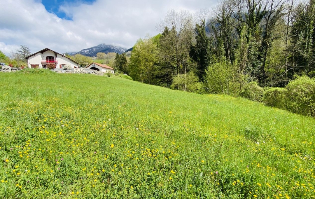  SARL PICOT IMMOBILIER -  : Ground | POMMIERS-LA-PLACETTE (38340) | 0 m2 | 195 000 € 